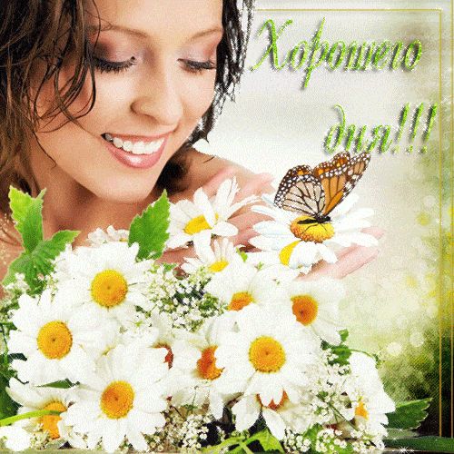 Открытка «Добрый день»: Пожелание хорошего дня! Открытка с ромашками и бабочкой. Тэги: Добрый день и добрые пожелания…