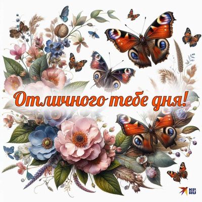 Открытка «Добрый день»: Отличного тебе дня! Красивая открытка с цветами. Тэги: Добрый день и добрые пожелания, Добрый…