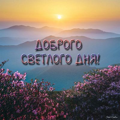 Открытка «Утро»: Открытка доброго светлого дня солнце горы цветы. Тэги: позитив, добрый день, цветок, счастье, весна…