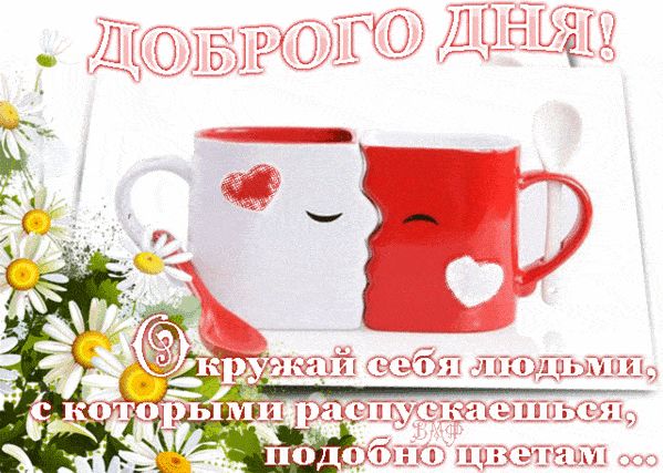 Открытка «Пожелание»: Красивое пожелание доброго дня с милыми кружками и цветами. Тэги: улыбка, кофе, позитив, добрый…