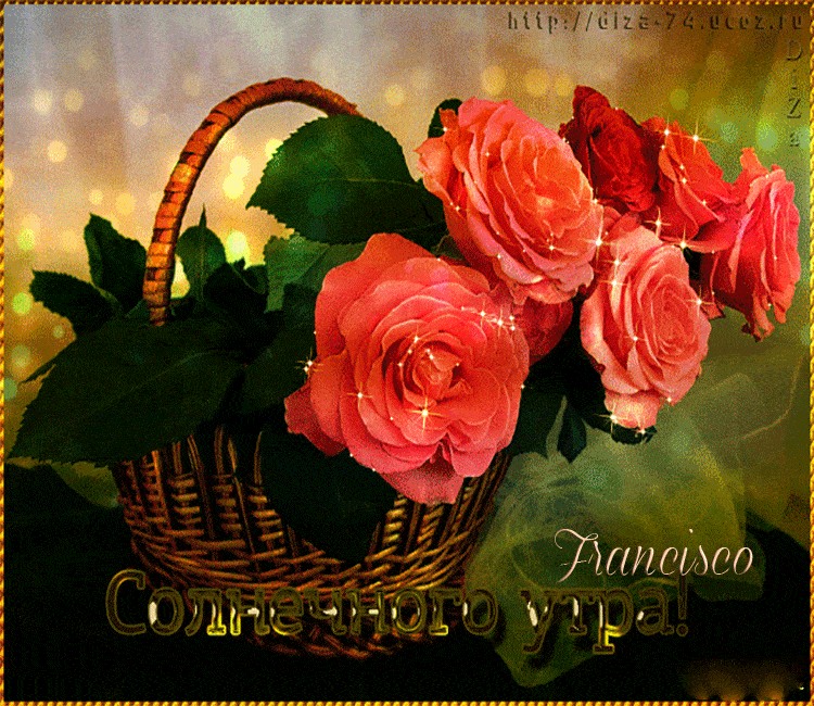 Открытка «С добрым утром»: Солнечного утра! Красивая открытка с цветочной корзиной. Тэги: пожелание, утро, красивая…