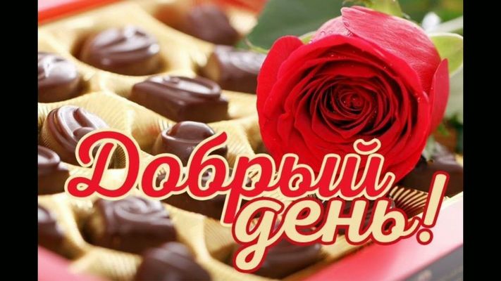Открытка «Добрый день»: Красивая открытка с розой и пожеланием на день. Тэги: Добрый день и добрые пожелания, Добрый…