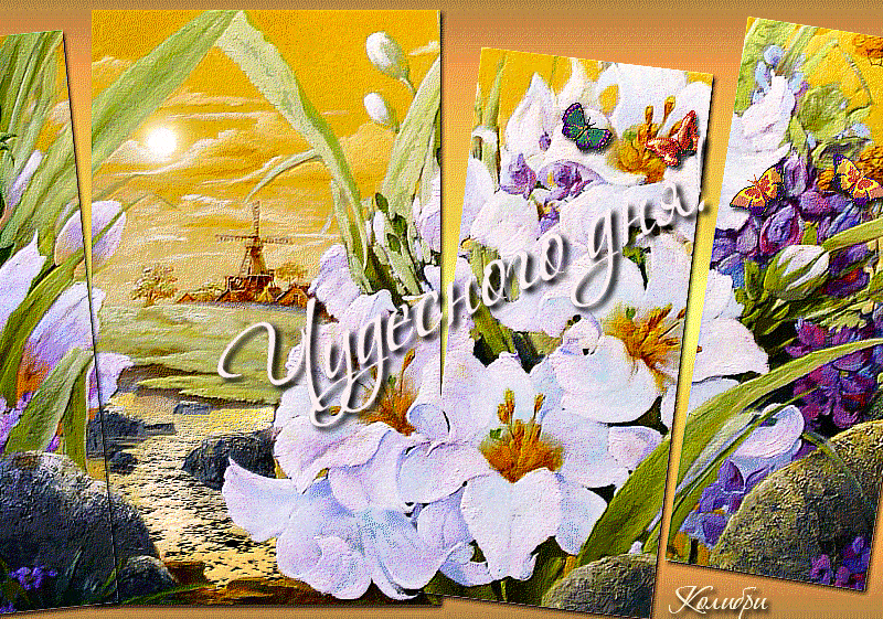 Открытка «Добрый день»: Чудесного утра: красивая панорама с цветами и солнцем. Тэги: Добрый день и добрые пожелания…