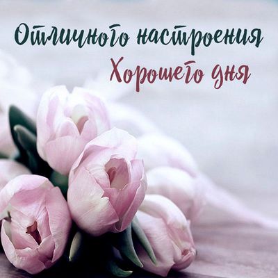 Открытка «Пожелание»: Отличного настроения и хорошего дня с букетом нежных тюльпанов. Тэги: красивая, радость, добрый…