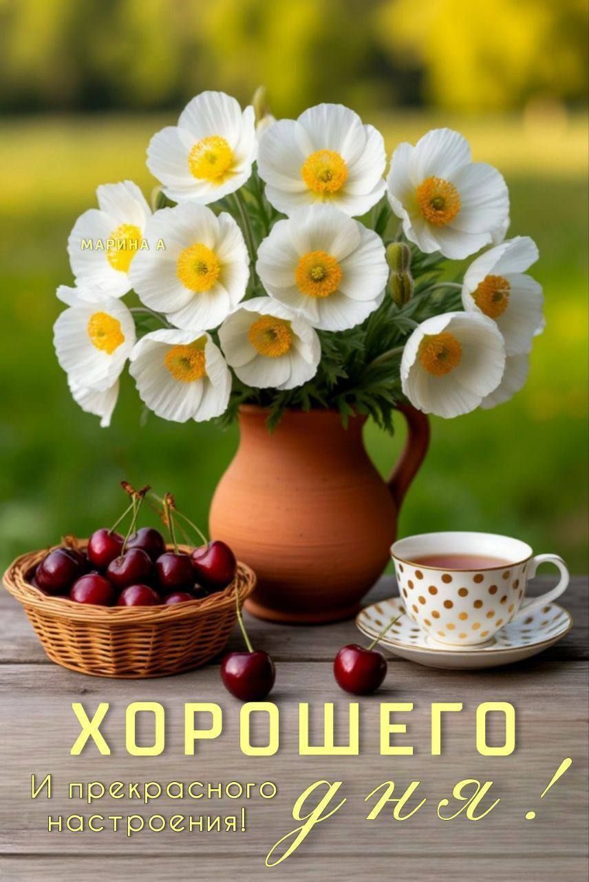 Открытка «Добрый день»: Красивая открытка с цветком и вишней для хорошего дня. Тэги: Добрый день и добрые пожелания…