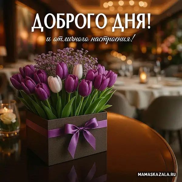 Открытка «Мужчина»: Красивая открытка доброго дня с тюльпанами. Тэги: женщина, красивая, позитив, радость, добрый день…