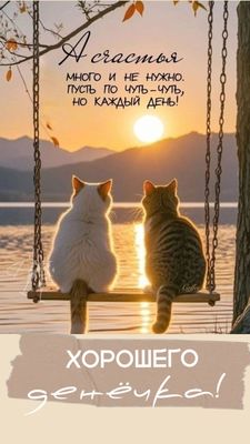 Открытка «Кот»: Счастье по чуть-чуть: А счастья много не нужно. С добрым утром. Тэги: животное, пожелание, красивая…