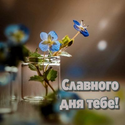 Открытка «Добрый день»: Открытка весна с цветами и пожеланием славного дня.. Тэги: славный, Добрый день и добрые поже…