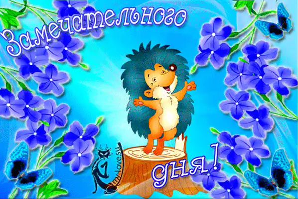 Открытка «Добрый день»: Пожелание замечательного дня ежик цветы. Тэги: Добрый день и добрые пожелания, Добрый день…