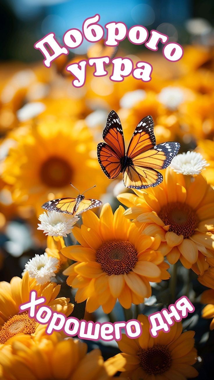 Открытка «Пожелание»: Красивая открытка с добрым утром и пожеланием хорошего дня на фоне солнца. Тэги: утро, красивая…