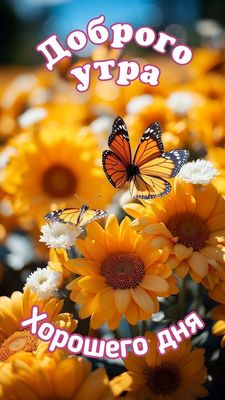 Открытка «Пожелание»: Красивая открытка с добрым утром и пожеланием хорошего дня на фоне солнца. Тэги: утро, красивая…