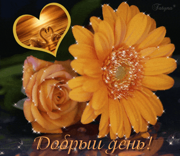 Открытка «Добрый день»: Душевная поздравительная открытка с яркими цветами и любовью. Тэги: Добрый день и добрые поже…