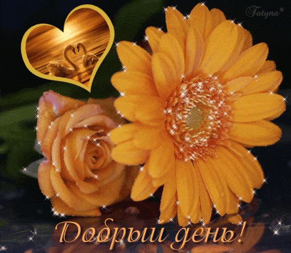 Открытка «Добрый день»: Душевная поздравительная открытка с яркими цветами и любовью. Тэги: Добрый день и добрые поже…