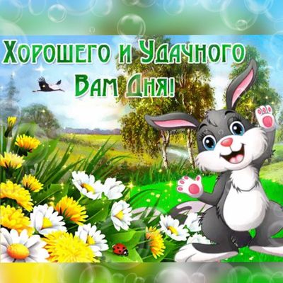 Открытка «Добрый день»: Открытка: Хорошего и Удачного Вам Дня! Милый заяц. Тэги: Добрый день и добрые пожелания…