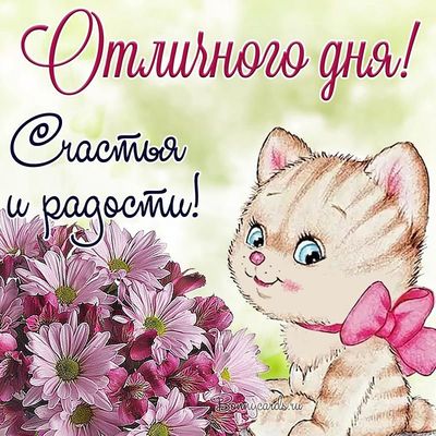 Открытка «Добрый день»: Котенок с цветами. Отличного дня и счастья!. Тэги: Добрый день и добрые пожелания, Добрый день…