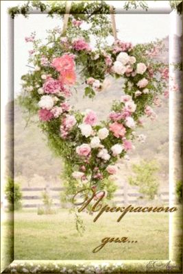 Открытка «Пожелание»: Прекрасного дня! Цветочное сердце с любовью. Тэги: улыбка, красивая, позитив, радость, добрый д…