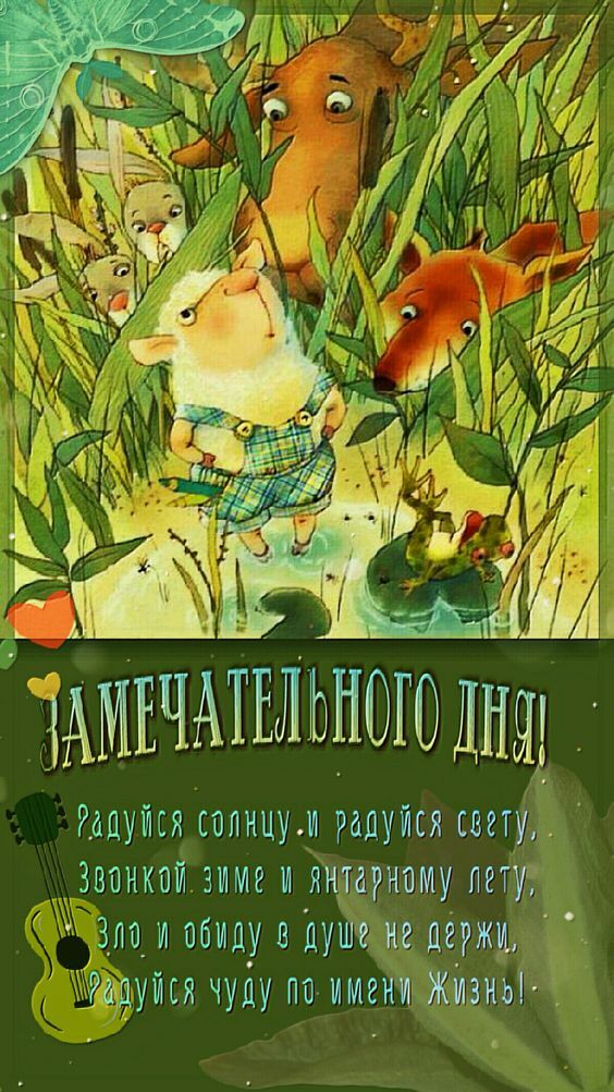 Открытка «Животное»: Замечательного дня: Радуйся жизни!. Тэги: гитара, пожелание, красивая, позитив, радость, добрый…