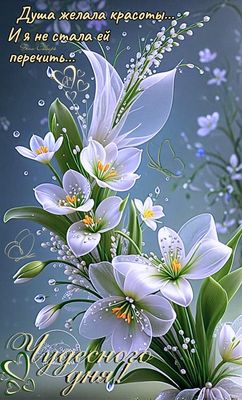 Открытка «Пожелание»: Красивая открытка: Чудесного дня! Пожелание красоты. Тэги: улыбка, подруга, женщина, радость…