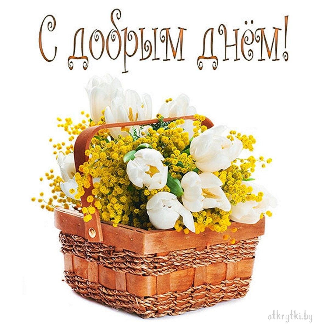 Открытка «Пожелание»: Открытка С добрым днём! Цветочная корзина. Тэги: друг, подруга, женщина, красивая, позитив…