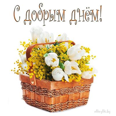 Открытка «Пожелание»: Открытка С добрым днём! Цветочная корзина. Тэги: друг, подруга, женщина, красивая, позитив…