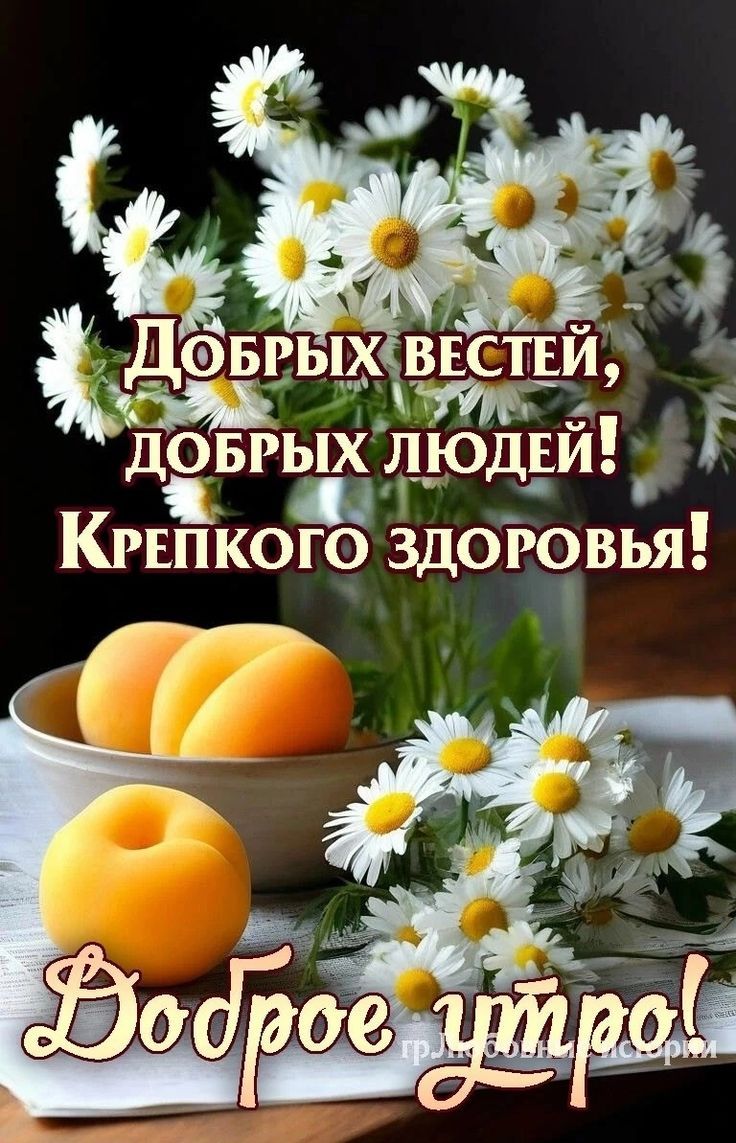Открытка «С добрым утром»: Позитивное доброе утро: здоровье и ромашки. Тэги: пожелание, утро, красивая, позитив…