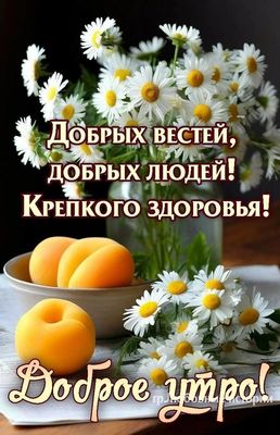 Открытка «С добрым утром»: Позитивное доброе утро: здоровье и ромашки. Тэги: пожелание, утро, красивая, позитив…