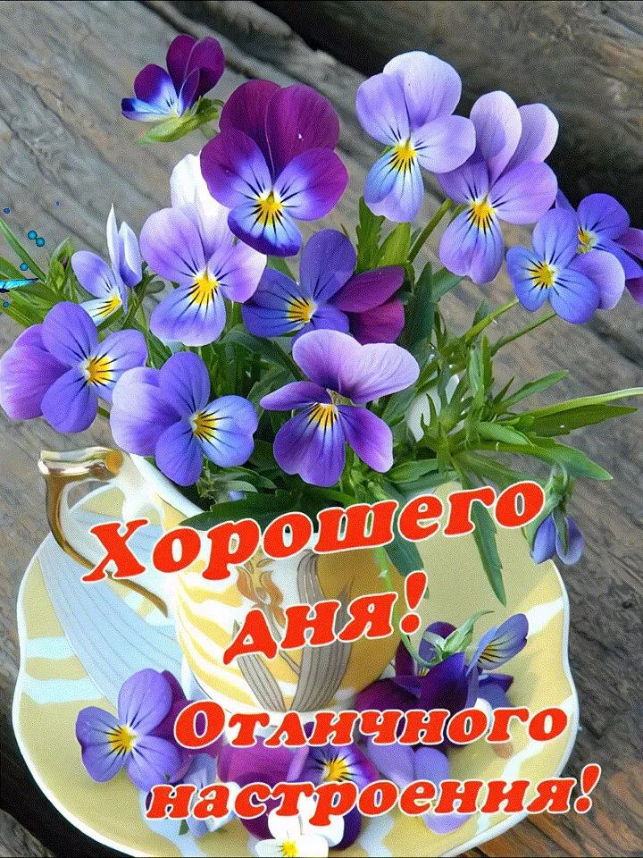 Открытка «Пожелание»: Открытка Хорошего Дня с цветами и настроением. Тэги: улыбка, позитив, радость, добрый день…