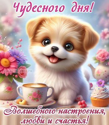 Открытка «Животное»: Чудесного дня! Милый щенок, кофе и счастье. Тэги: пожелание, улыбка, красивая, кофе, позитив…
