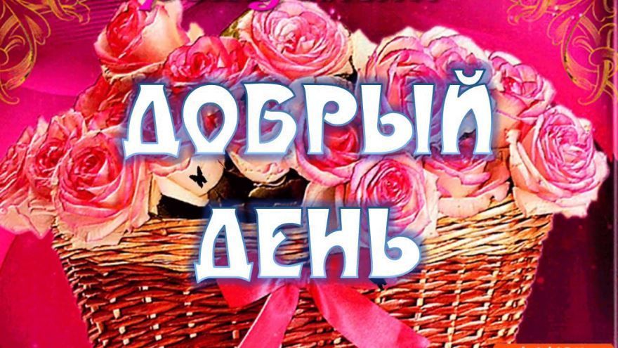 Открытка «Пожелание»: Добрый день! Открытка с нежными розами и позитивом. Тэги: женщина, девушка, красивая, позитив…