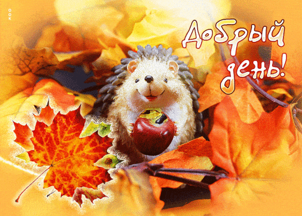 Открытка «Животное»: Добрый день! Милый ёжик с яблоком на фоне осенних листьев. Тэги: пожелание, улыбка, красивая…