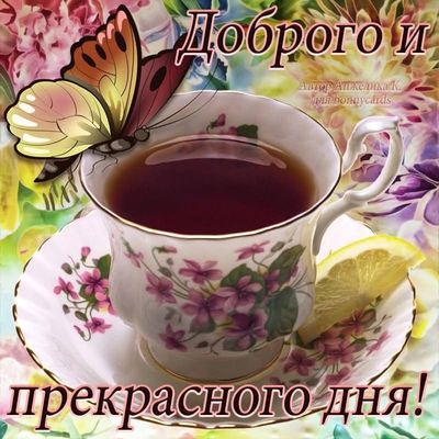 Открытка «Животное»: Доброго и прекрасного дня! Позитив и улыбка. Тэги: пожелание, улыбка, красивая, позитив, радость…