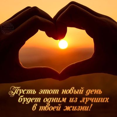 Открытка «С добрым утром»: Пожелание: Пусть новый день будет лучшим!. Тэги: пожелание, красивая, позитив, радость…