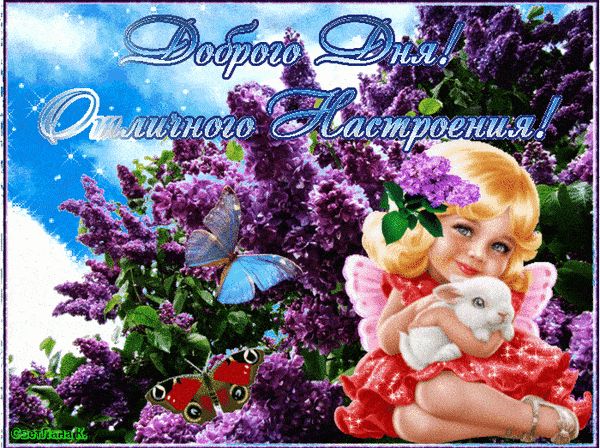 Открытка «Улыбка»: Прекрасного Дня и Отличного Настроения!. Тэги: красивая, позитив, радость, добрый день, цветок…