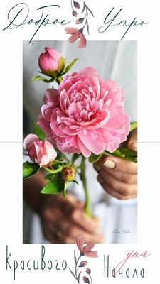 Открытка «Пожелание»: Доброе утро с красивым цветком для нежного начала. Тэги: утро, женщина, девушка, красивая…