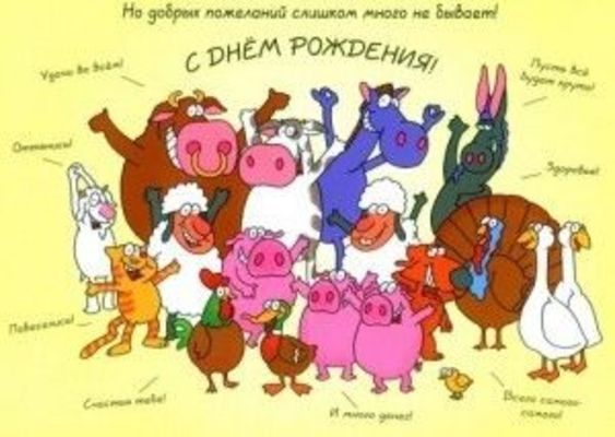 Открытка «Кот»: С Днем Рождения от веселых животных! Поздравление. Тэги: животное, пожелание, юмор, прикольная…