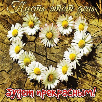 Открытка «Пожелание»: Прекрасный день! Открытка с ромашками и пожеланием. Тэги: улыбка, позитив, радость, добрый день…