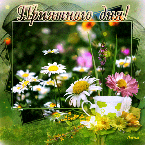 Открытка «Пожелание»: Приятного дня! Красивая открытка с ромашками. Тэги: улыбка, красивая, позитив, радость, добрый…