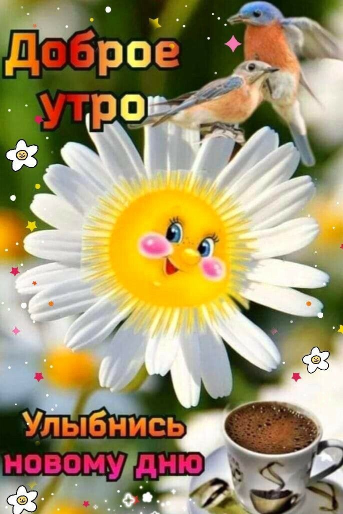 Открытка «С добрым утром»: Доброе утро: улыбнись новому дню с ромашкой и птичками. Тэги: животное, пожелание, улыбка…