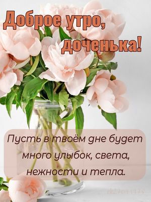 Открытка «С добрым утром»: Доброе утро, доченька! Нежные пионы для любимой. Тэги: пожелание, улыбка, красивая, позитив…