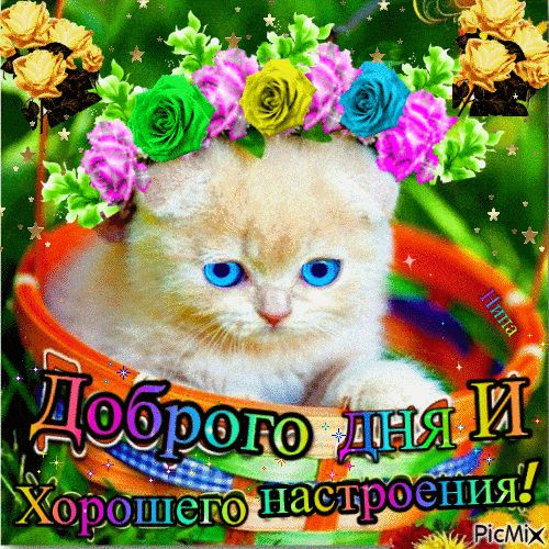 Открытка «Кот»: Доброго дня и хорошее настроение: милый кот в венке. Тэги: животное, пожелание, улыбка, красивая…