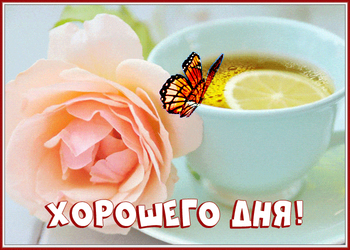 Открытка «Пожелание»: Хорошего дня! Нежная открытка с цветком и чаем. Тэги: улыбка, красивая, позитив, радость…