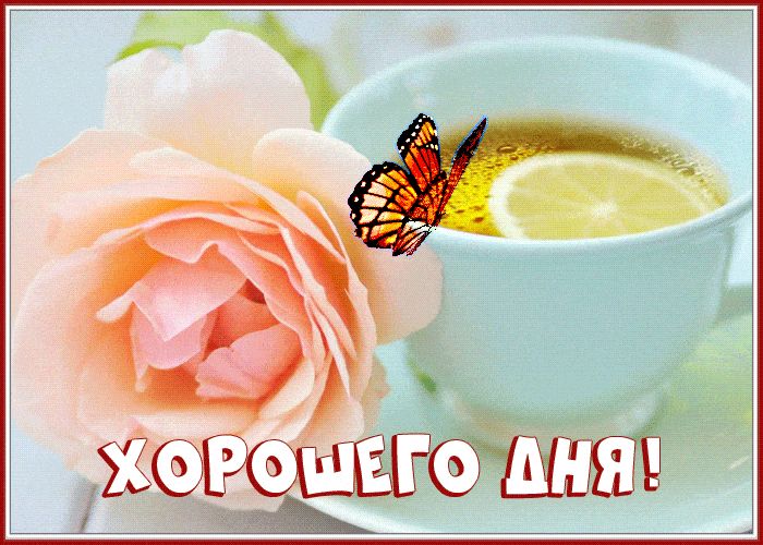 Открытка «Пожелание»: Хорошего дня! Нежная открытка с цветком и чаем. Тэги: улыбка, красивая, позитив, радость…