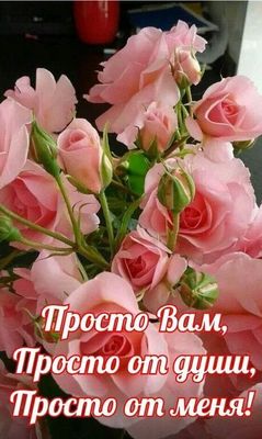 Открытка «Пожелание»: Красивые розы: Просто Вам, от души!. Тэги: улыбка, подруга, женщина, красивая, позитив, радость…