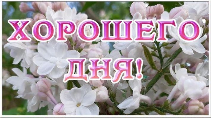 Открытка «Добрый день»: «Хорошего дня!»: Цветочное пожелание с позитивом.. Тэги: Добрый день и добрые пожелания…