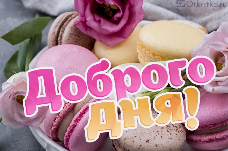 Открытка «Улыбка»: Доброго дня! Нежная открытка с макарунами и цветами. Тэги: красивая, позитив, радость, добрый день…