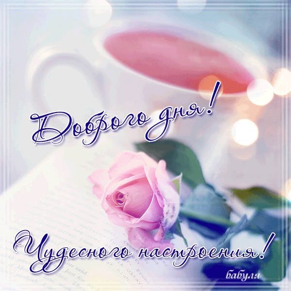 Открытка «Пожелание»: Доброго дня и чудесного настроения! Нежная роза. Тэги: красивая, позитив, радость, добрый день…