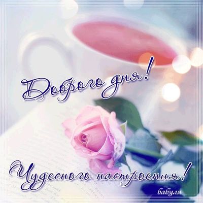 Открытка «Пожелание»: Доброго дня и чудесного настроения! Нежная роза. Тэги: красивая, позитив, радость, добрый день…