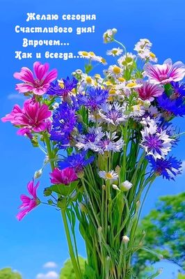 Открытка «Пожелание»: Счастливого дня! Красивый букет для настроения. Тэги: улыбка, красивая, позитив, добрый день…