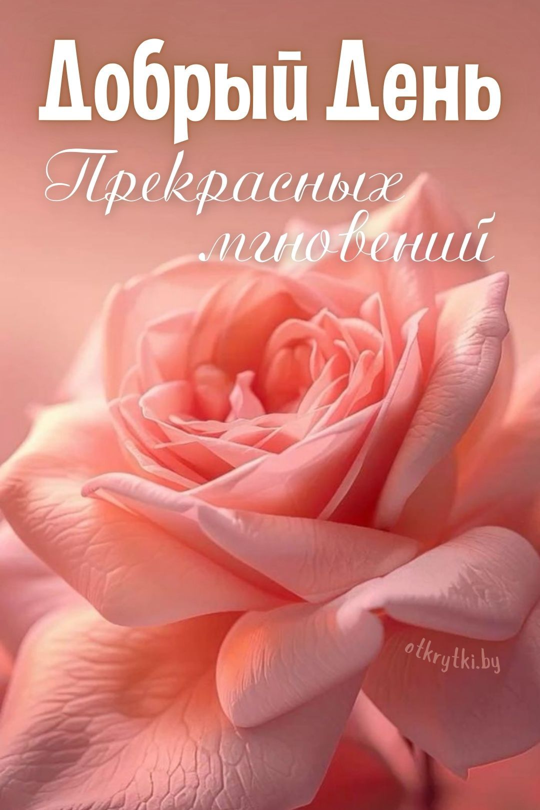 Открытка «Пожелание»: Добрый День: Пожелание прекрасных мгновений. Тэги: подруга, женщина, красивая, позитив, радость…