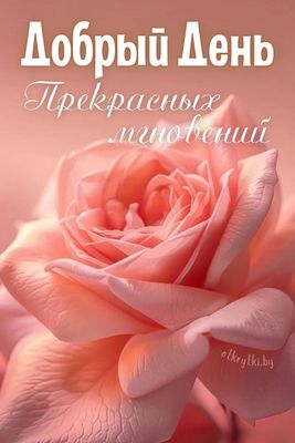 Открытка «Пожелание»: Добрый День: Пожелание прекрасных мгновений. Тэги: подруга, женщина, красивая, позитив, радость…